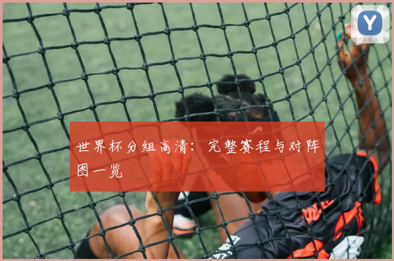 世界杯分组高清：完整赛程与对阵图一览