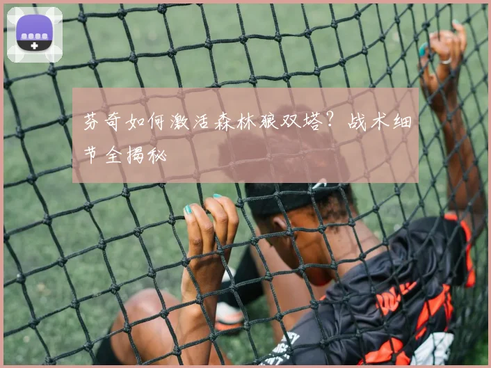 芬奇如何激活森林狼双塔？战术细节全揭秘