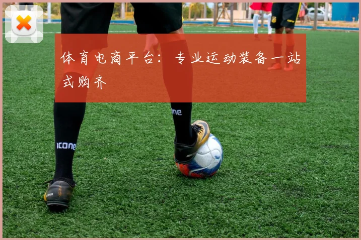 体育电商平台：专业运动装备一站式购齐